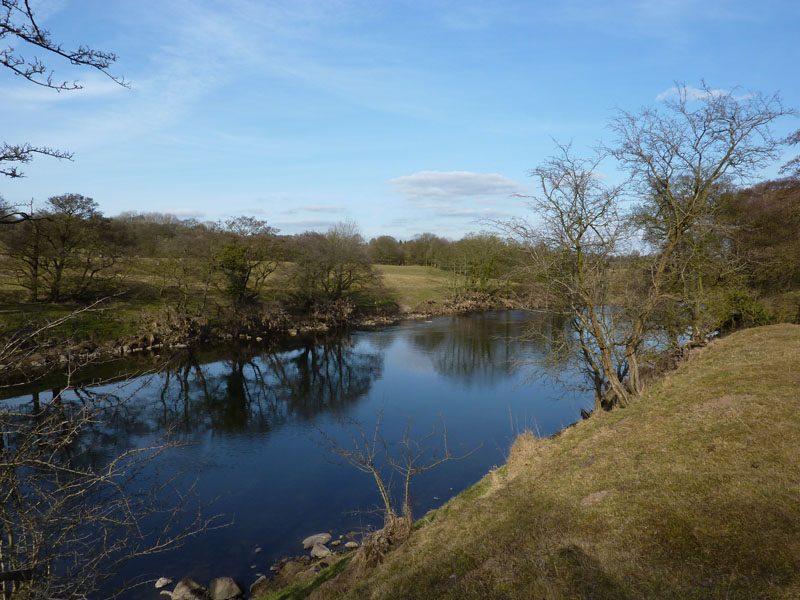 Ribble Valley View